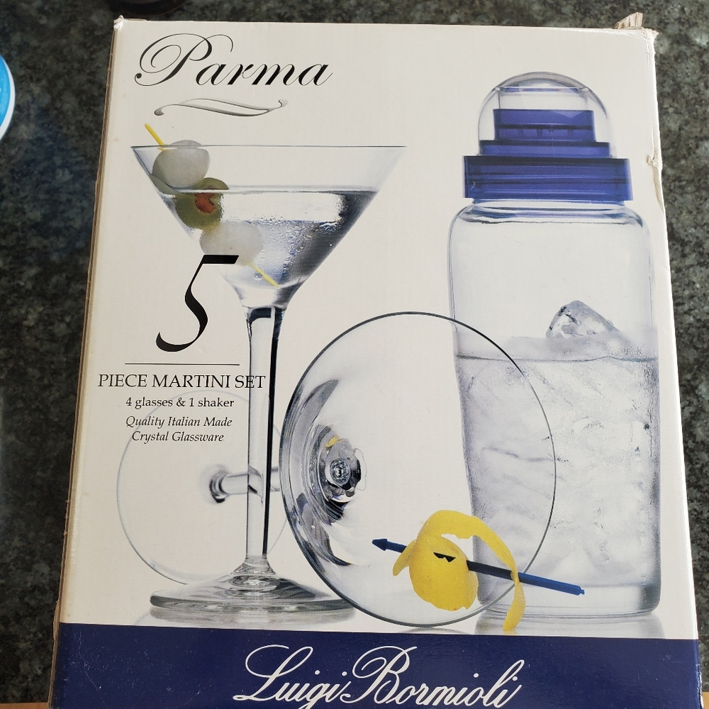 Luigi Bormoili Parma Martini glasses and shaker